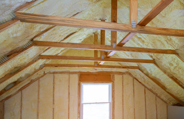 Best Wall Insulation Contractor  in Wathena, KS